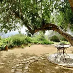 Delightful, Authentic Quinta With Pool