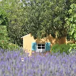Delightful, Authentic Quinta With Pool Loulé