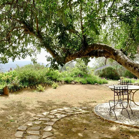 Delightful Authentic Quinta With Swimming Pool بيت للعطل لول