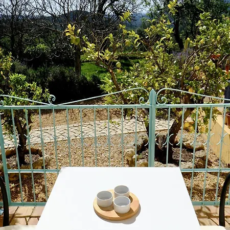 Delightful, Authentic Quinta With Pool Semesterbostad Loulé