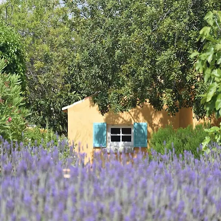 Delightful, Authentic Quinta With Pool Loulé