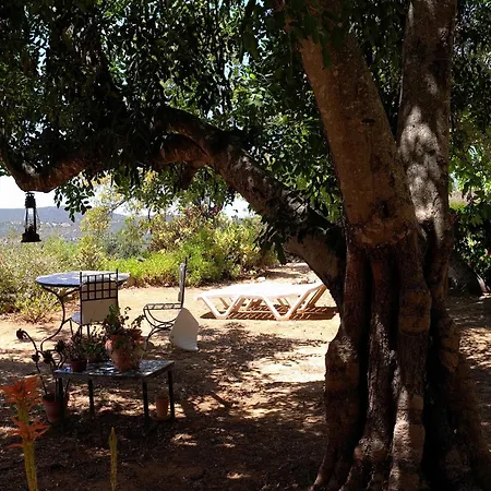 Delightful, Authentic Quinta With Pool *