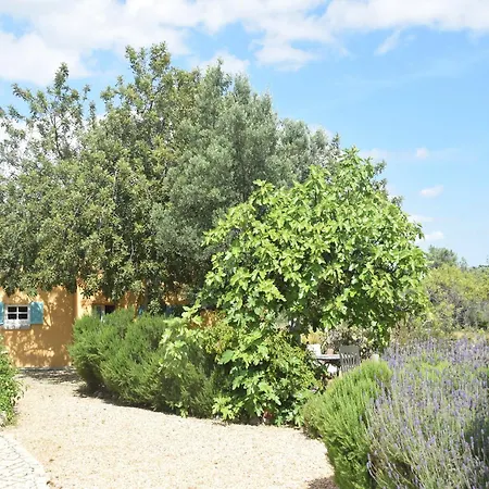 Delightful, Authentic Quinta With Pool Сasa de vacaciones