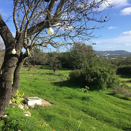 Delightful, Authentic Quinta With Pool Сasa de vacaciones *