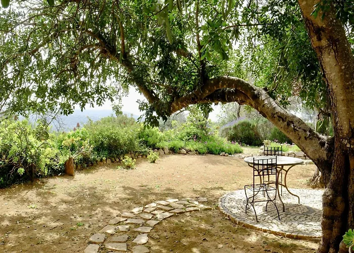 Delightful, Authentic Quinta With Pool