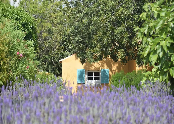 Delightful, Authentic Quinta With Pool Loulé