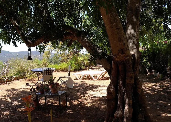 Delightful, Authentic Quinta With Pool *